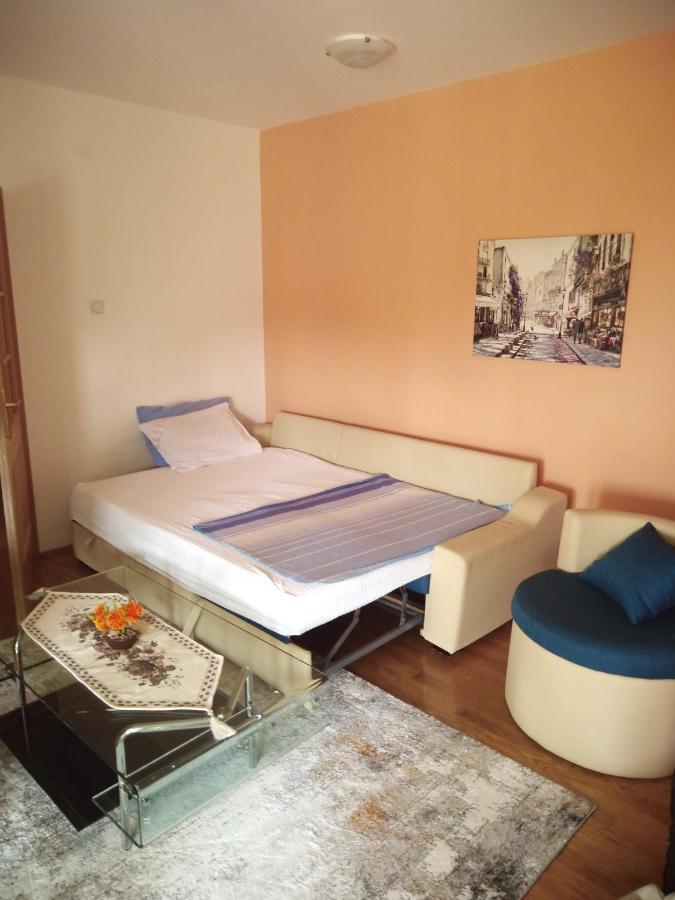 Apartman Ozi Petrovac Exterior foto