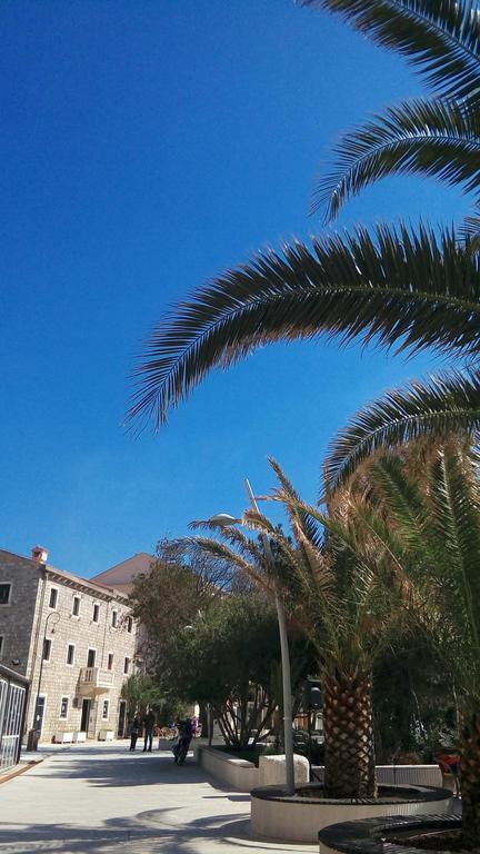 Apartman Ozi Petrovac Exterior foto